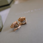 [Dream JURI]2026 NEW STYLE LUCKY SPRING EARRINGS